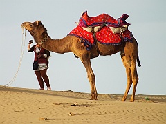 jaisalmer (336)